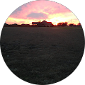 Cairi Price Google reviewer profile photo