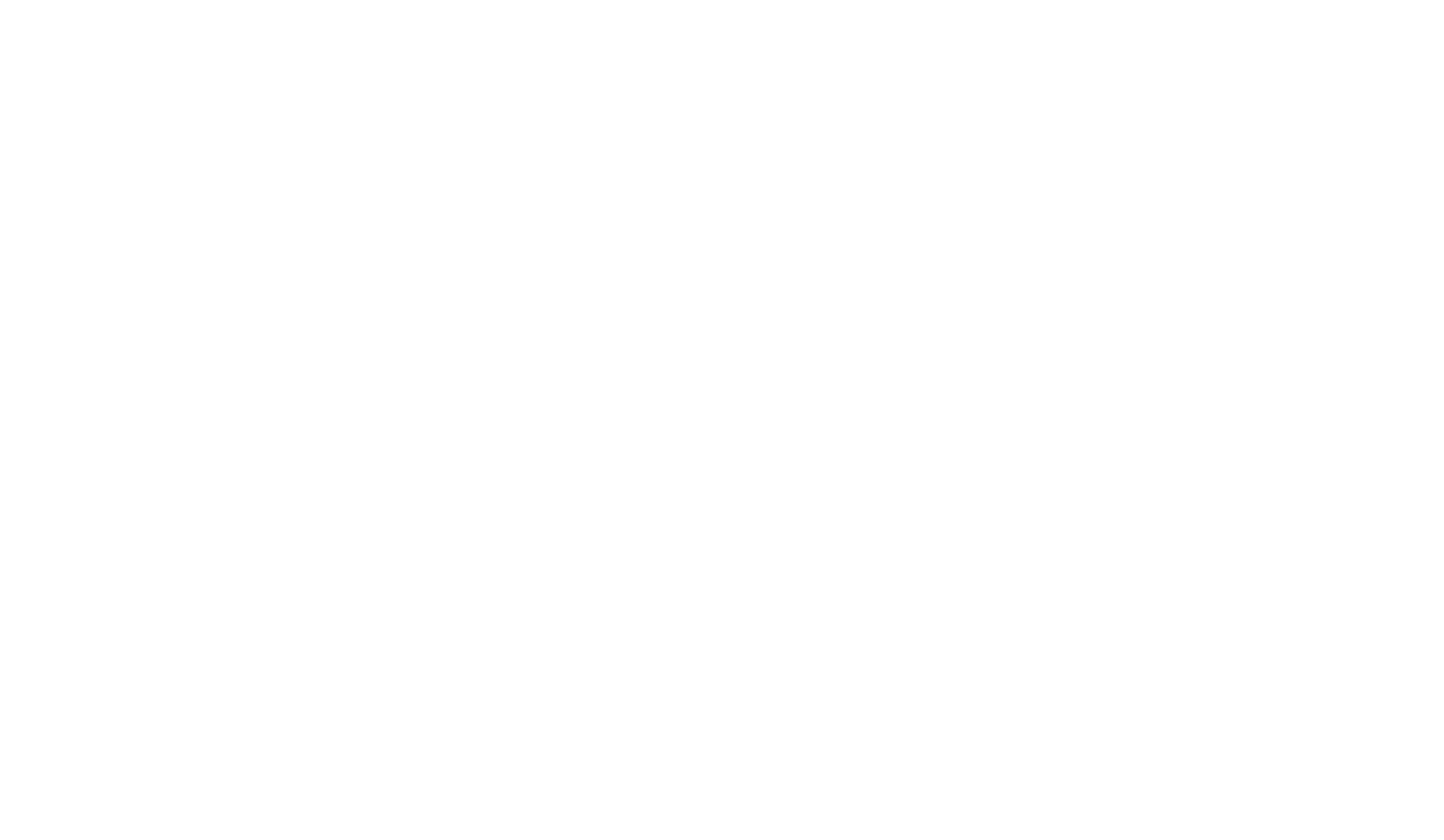 Magnificent Cleaning Services