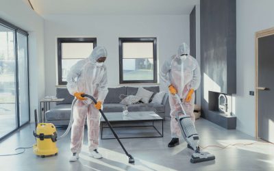 Disinfecting vs. Cleaning: What’s the Difference and Why It Matters