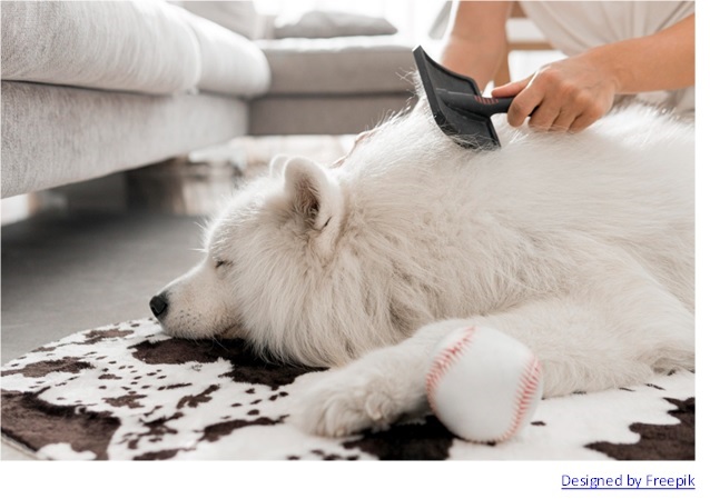 Pet Owners’ Guide to a Fur-Free, Fresh-Smelling Home
