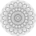 Juwairiyah Shaikh profile picture